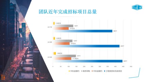 中冠咨詢 全面招標代理、政府采購與信息技術(shù)咨詢服務(wù)介紹