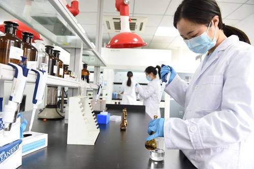 科技管家服務(wù)能手 資陽生產(chǎn)力促進中心如何以信息技術(shù)咨詢助力政企發(fā)展